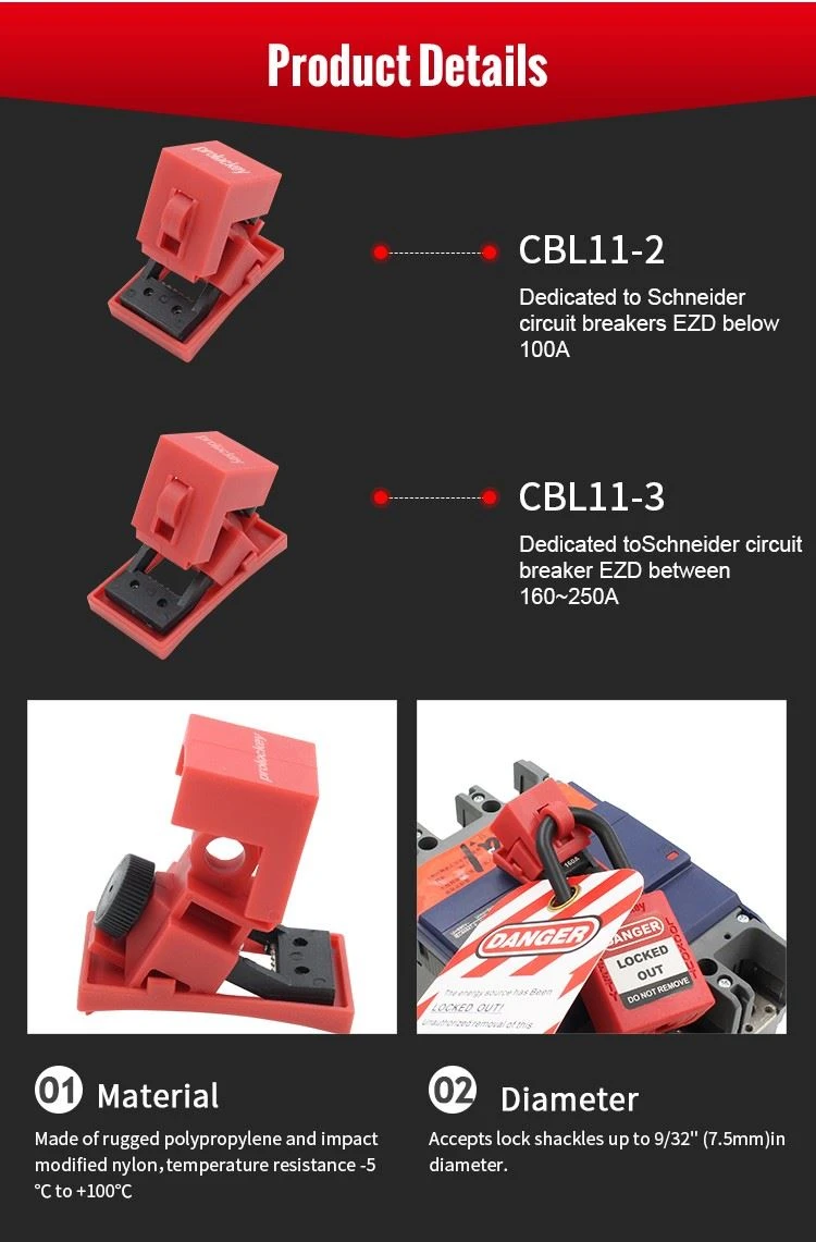 CBL11-2-CBL11-3_02